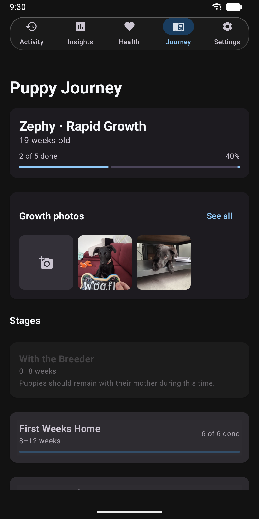 Journey screen showing the puppy's current life stage and a checklist of milestones.